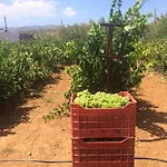 Pyrgis Apartment