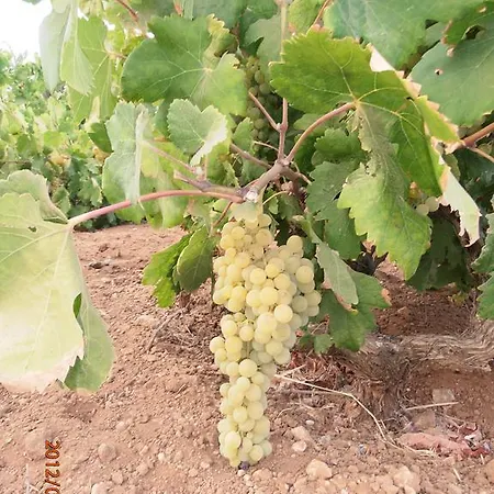 Pyrgis Molos (Paros)