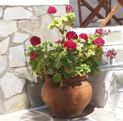 Διαμέρισμα Pyrgis *