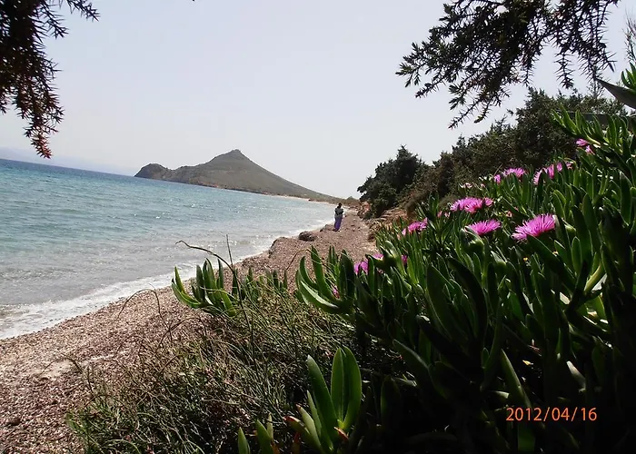 Pyrgis * 몰로스파루