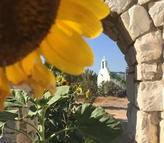 Pyrgis Διαμέρισμα